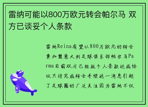 雷纳可能以800万欧元转会帕尔马 双方已谈妥个人条款